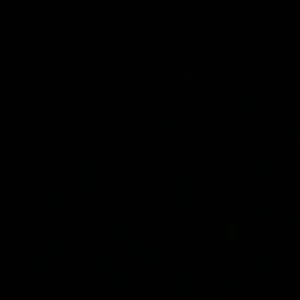 Meet your Posher, Elisa